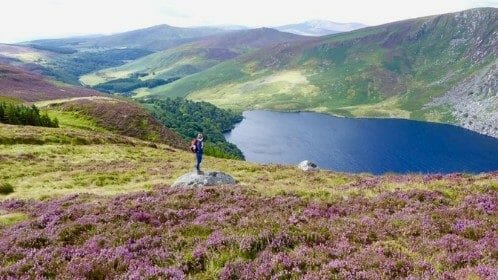 Montagnes De Wicklow